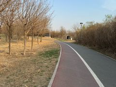 -马家湾湿地公园
