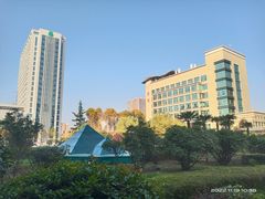 -西京医院