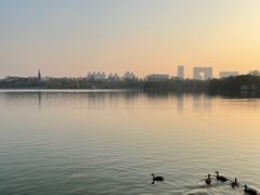 -海珠湖公园