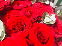 -ChaKo Flora ·茶子花艺 (市北店)