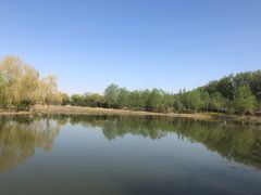 -东郊湿地公园