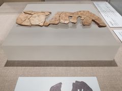 -北京大学赛克勒考古与艺术博物馆