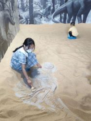 -恐龙探索乐园(磁器口店)