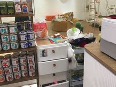 -1013 PET SHOP精品宠物商店(丁香店)