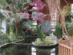 -南宫五洲植物乐园