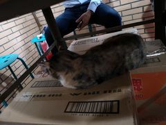 -老地方面馆(思南路店)