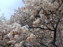 -山东外贸职业学院