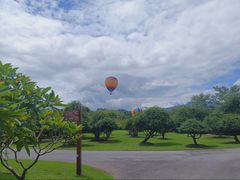 -中国科学院西双版纳热带植物园