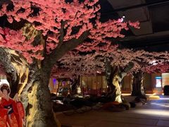 -蓝鲸湾汤泉(包河店)