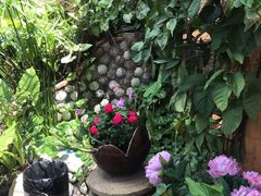 -园林美食城·本土农家菜(杨和镇店)