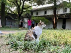 -西园寺