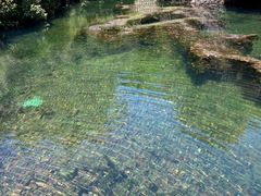 -白马涧龙池景区