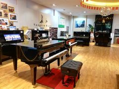 -柏斯琴行(汾阳店)