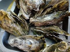 -渔民船说·北塘海鲜·天津菜·海肠捞饭(北塘古镇店)