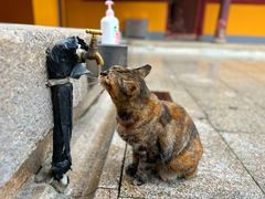 -龙华寺