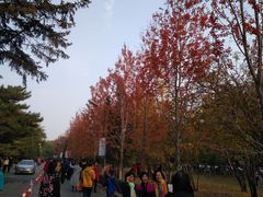 -辽宁大学(崇山校区)