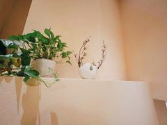 -Sakura·美颜社·日式私汤SPA