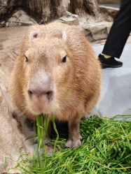 -Zoolung Zoolung动物主题公园(海信广场店)