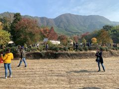 -塔川景区