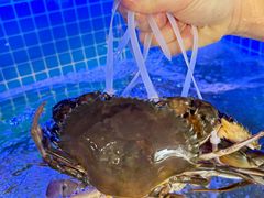 -友强·23年特色海鲜大排档(厦门店)