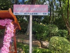 -茅山东方盐湖城景区