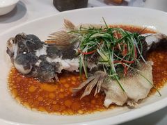 -老大同酒家·糟卤·本帮菜(中山公园店)