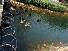 -长白岛森林公园