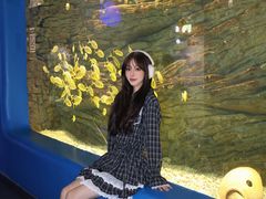 -欢乐海岸海洋奇梦馆