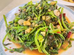 水腌菜炒豆尖-双喜农庄·菌香园(安居家园店)