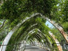 -天津东丽湖风景区