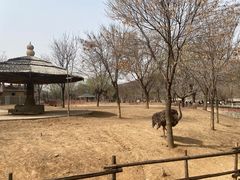 -石家庄市动物园