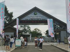 -中国大熊猫保护研究中心雅安碧峰峡基地