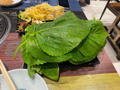 -红岸碳烤齐齐哈尔原味生态烤肉