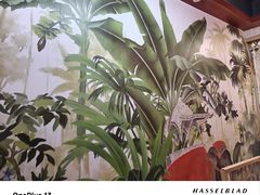 -泰澜得泰国菜(大学城店)