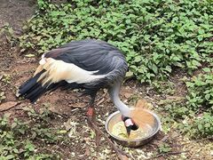 -昆明动物园