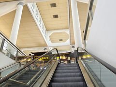 -厦门高崎国际机场-T3航站楼
