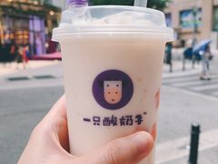 -一只酸奶牛(八一路店)