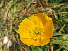 -名花谷生态庄园