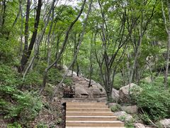 -大岭沟猕猴桃谷风景区