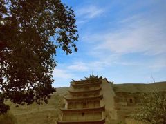 -金塔沙漠胡杨林景区