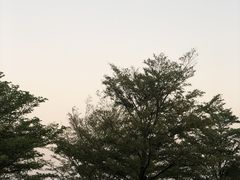 -太平洋咖啡(海天驿站店)