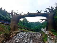 -梅岭月亮湾山体公园