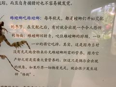 -上海大自然野生昆虫馆(东方明珠·爬宠昆虫探索中心)