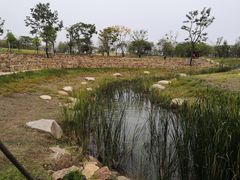 -盘龙城国家考古遗址公园