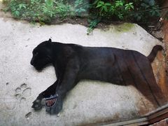 -盡膳口福跷脚牛肉火锅(北美新天地店)