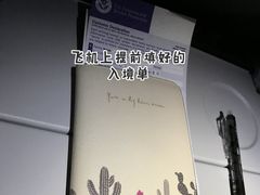 -达拉斯 沃斯堡国际机场