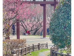 -苏州上方山国家森林公园