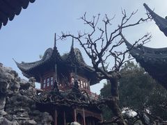 -豫园