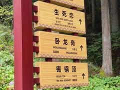 -罗田薄刀峰风景区