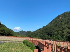 -广州市石门国家森林公园